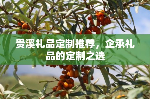 贵溪礼品定制推荐，企承礼品的定制之选