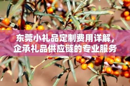 东莞小礼品定制费用详解，企承礼品供应链的专业服务