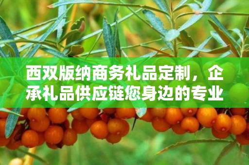 西双版纳商务礼品定制，企承礼品供应链您身边的专业礼品定制公司
