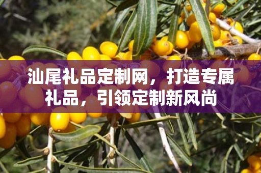 汕尾礼品定制网，打造专属礼品，引领定制新风尚