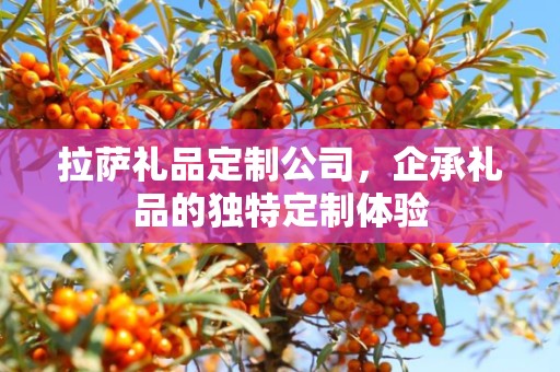 拉萨礼品定制公司，企承礼品的独特定制体验