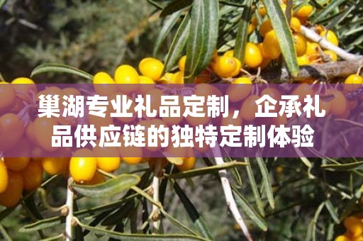 巢湖专业礼品定制，企承礼品供应链的独特定制体验