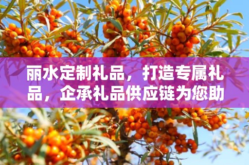 丽水定制礼品，打造专属礼品，企承礼品供应链为您助力