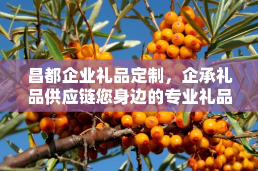 昌都企业礼品定制，企承礼品供应链您身边的专业礼品定制公司