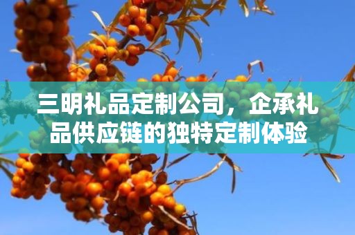 三明礼品定制公司，企承礼品供应链的独特定制体验
