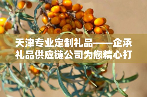 天津专业定制礼品——企承礼品供应链公司为您精心打造独特礼品