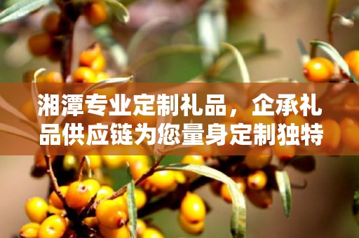湘潭专业定制礼品，企承礼品供应链为您量身定制独特礼品