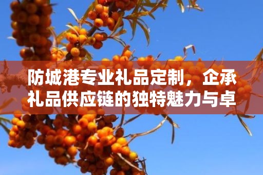 防城港专业礼品定制，企承礼品供应链的独特魅力与卓越服务