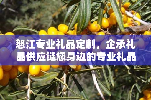 怒江专业礼品定制，企承礼品供应链您身边的专业礼品定制公司