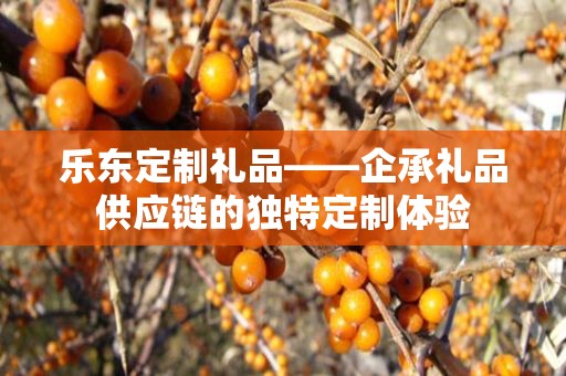 乐东定制礼品——企承礼品供应链的独特定制体验