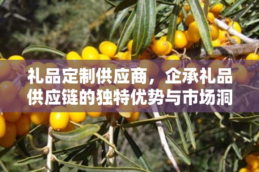 礼品定制供应商，企承礼品供应链的独特优势与市场洞察