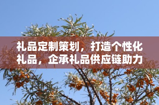 礼品定制策划，打造个性化礼品，企承礼品供应链助力商务推广